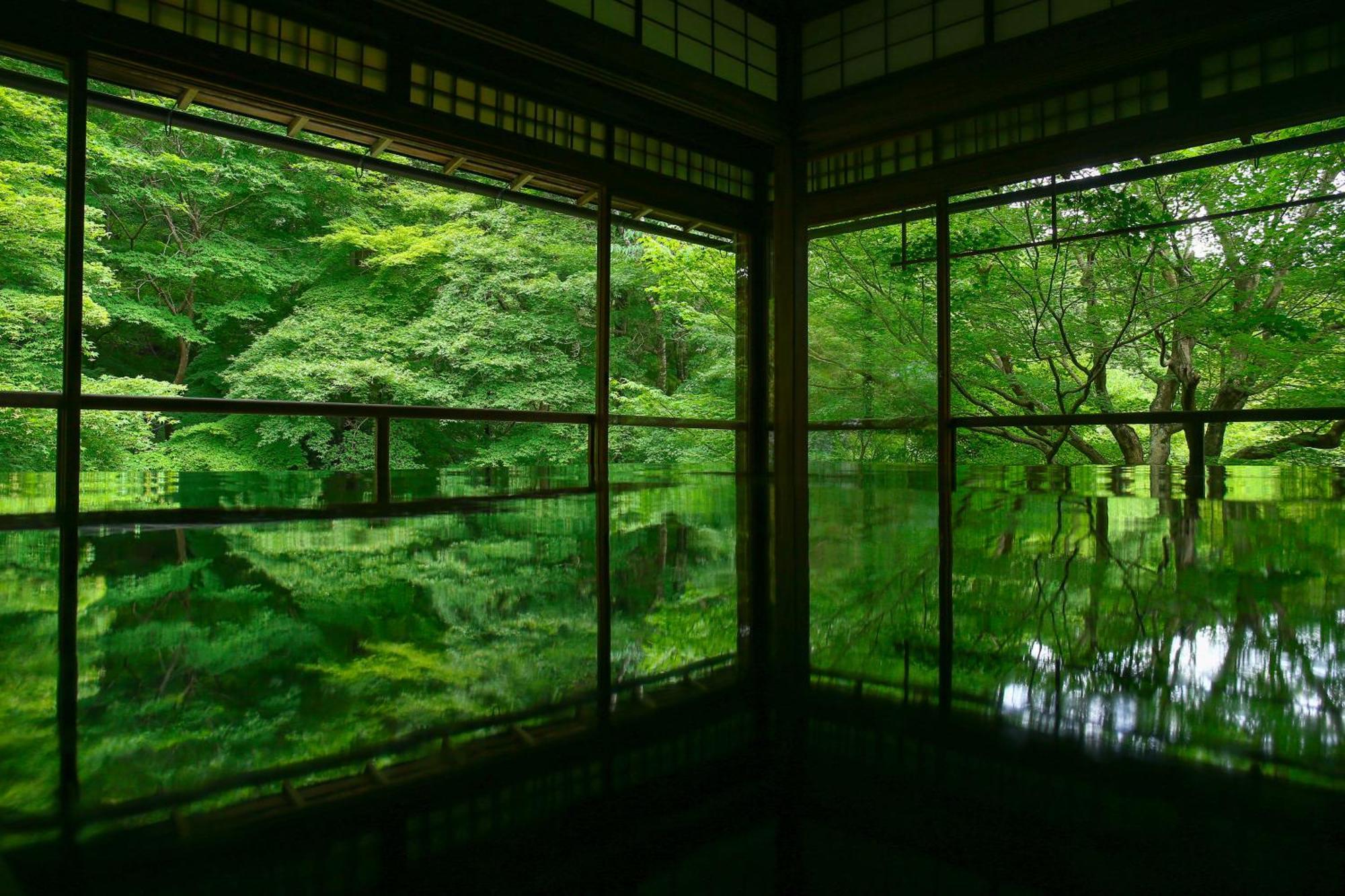 酒店 Tokyu Sakaiza Shijo Kawaramachi
