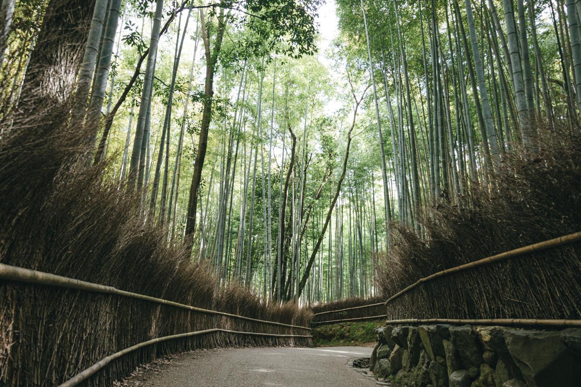 Tokyu Sakaiza Shijo Kawaramachi 4* 京都